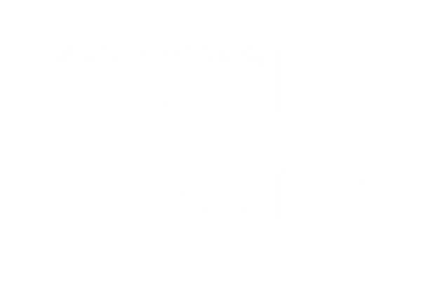 Boomerang Boards